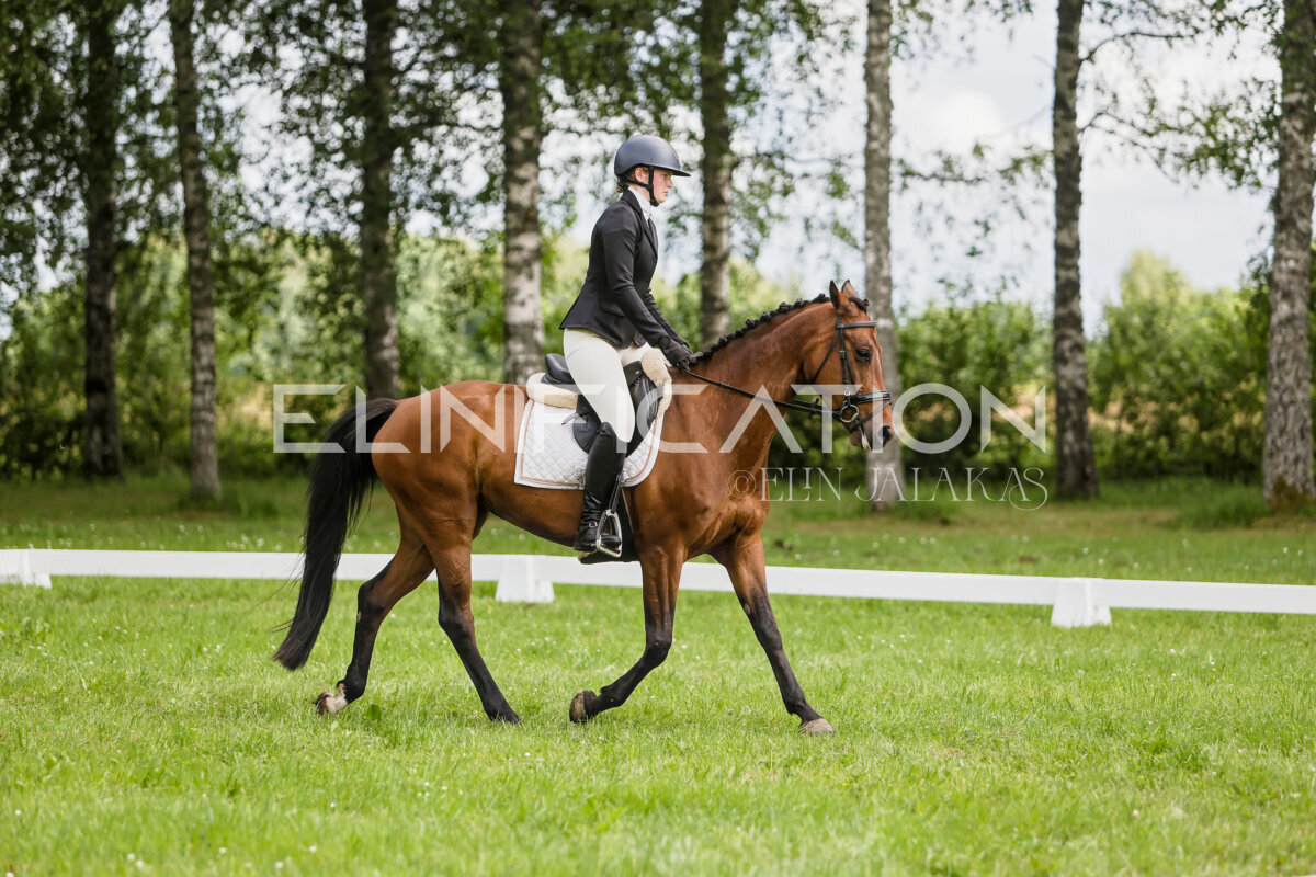 Olustvere_Eventing_2026_CCN70_KS_515