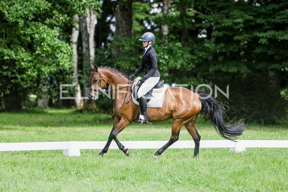 Olustvere_Eventing_2026_CCN70_KS_522