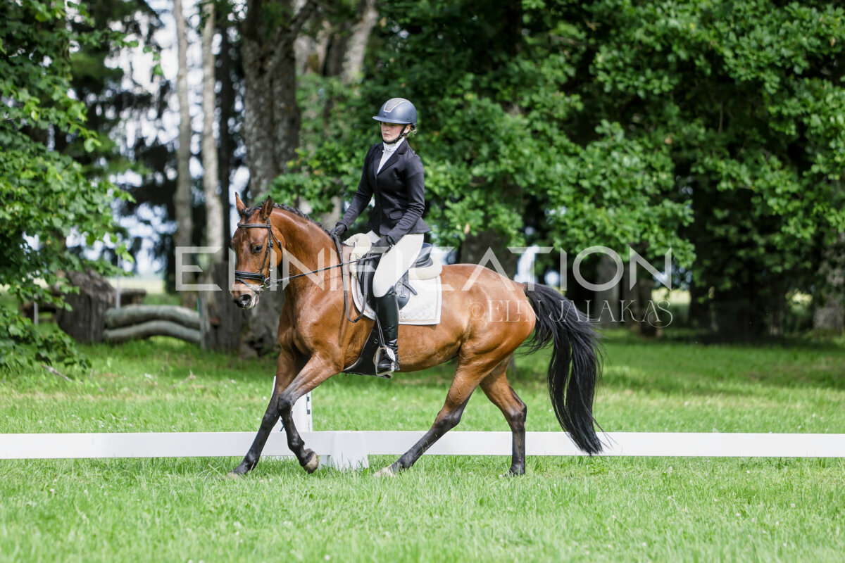 Olustvere_Eventing_2026_CCN70_KS_523