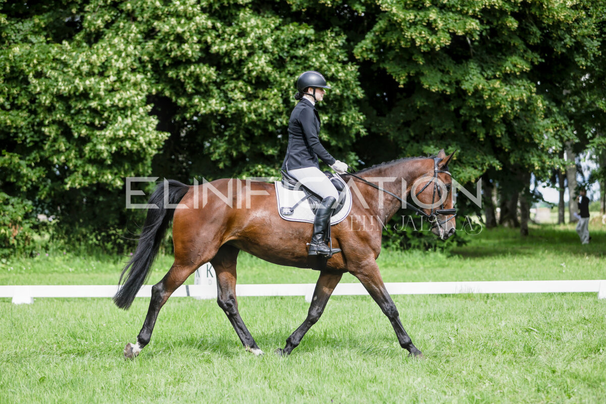 Olustvere_Eventing_2026_CCN70_KS_526