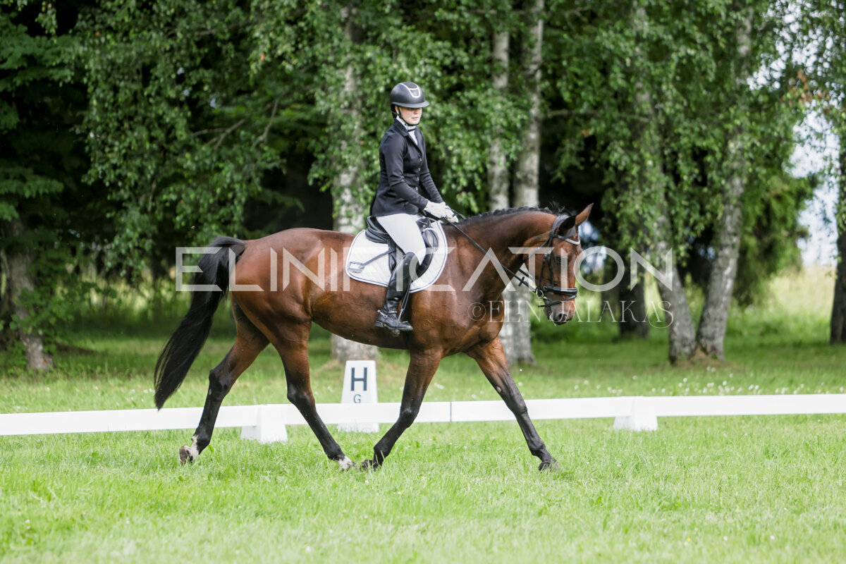 Olustvere_Eventing_2026_CCN70_KS_529