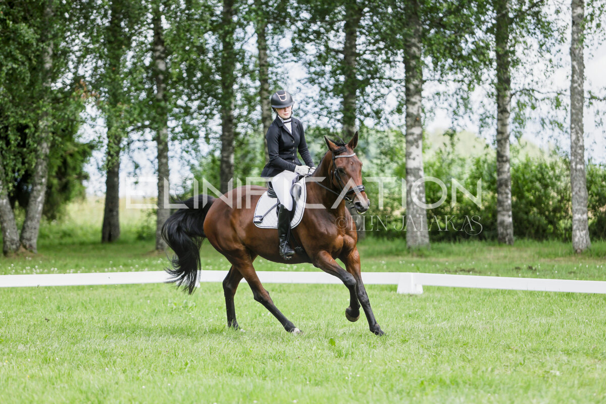 Olustvere_Eventing_2026_CCN70_KS_535
