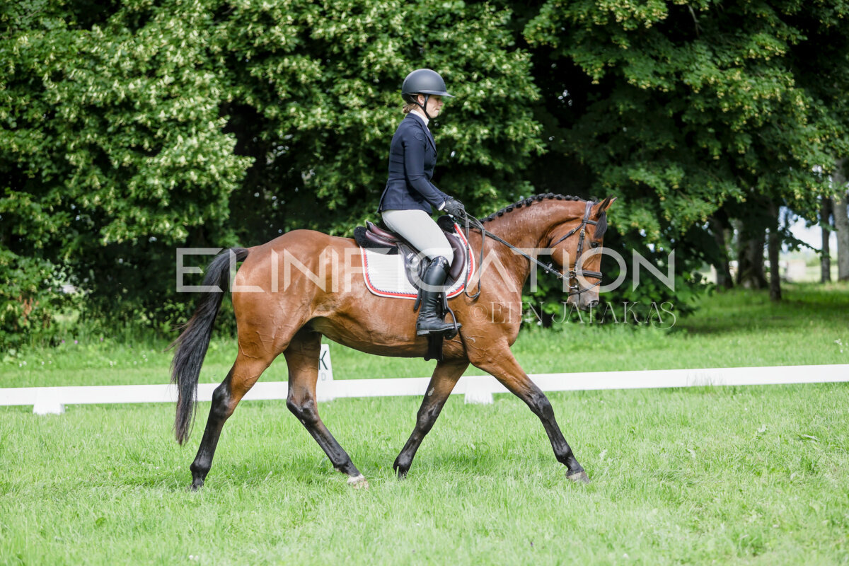 Olustvere_Eventing_2026_CCN70_KS_549