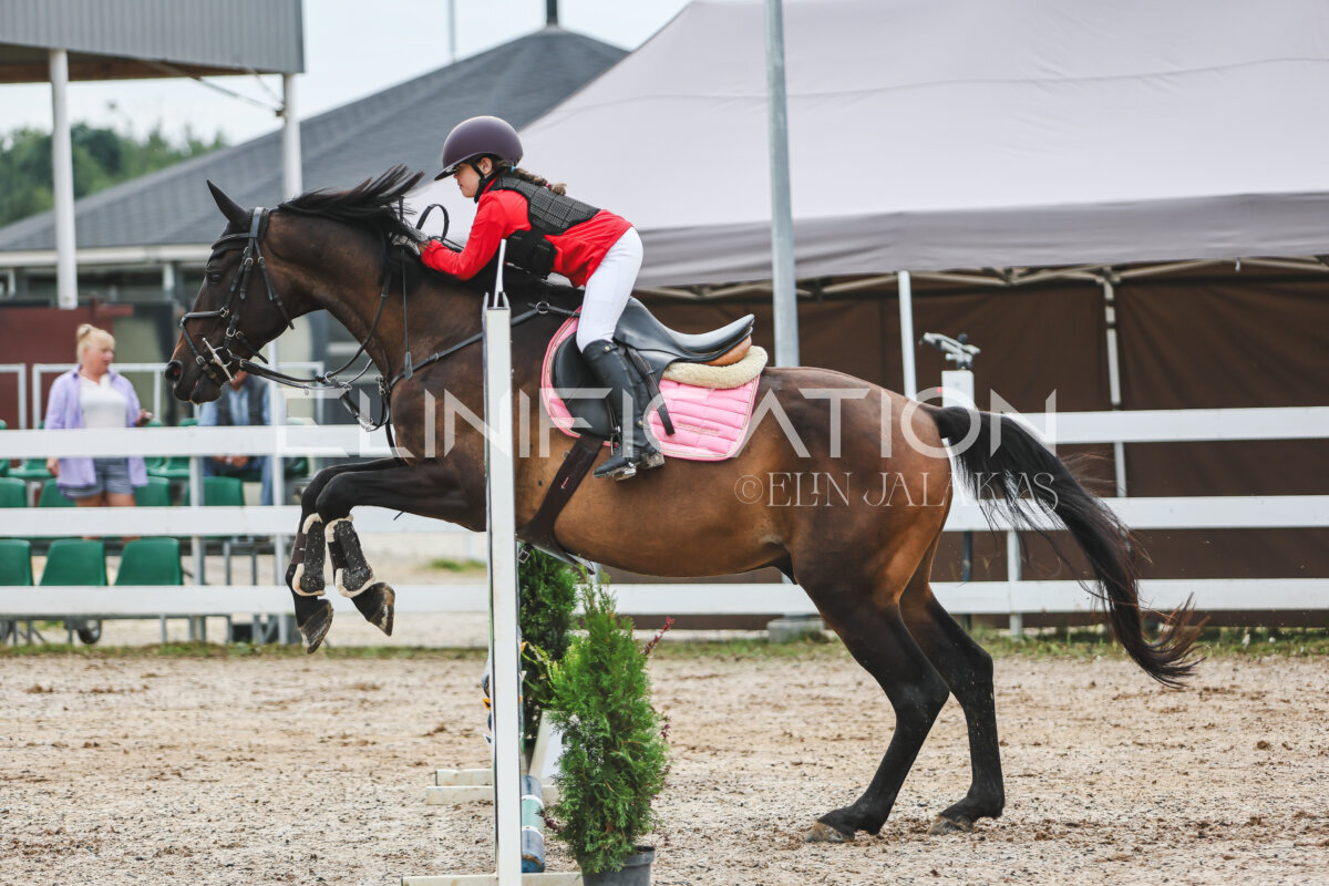 Sawerna-Trophy_2026_hc60-70_105