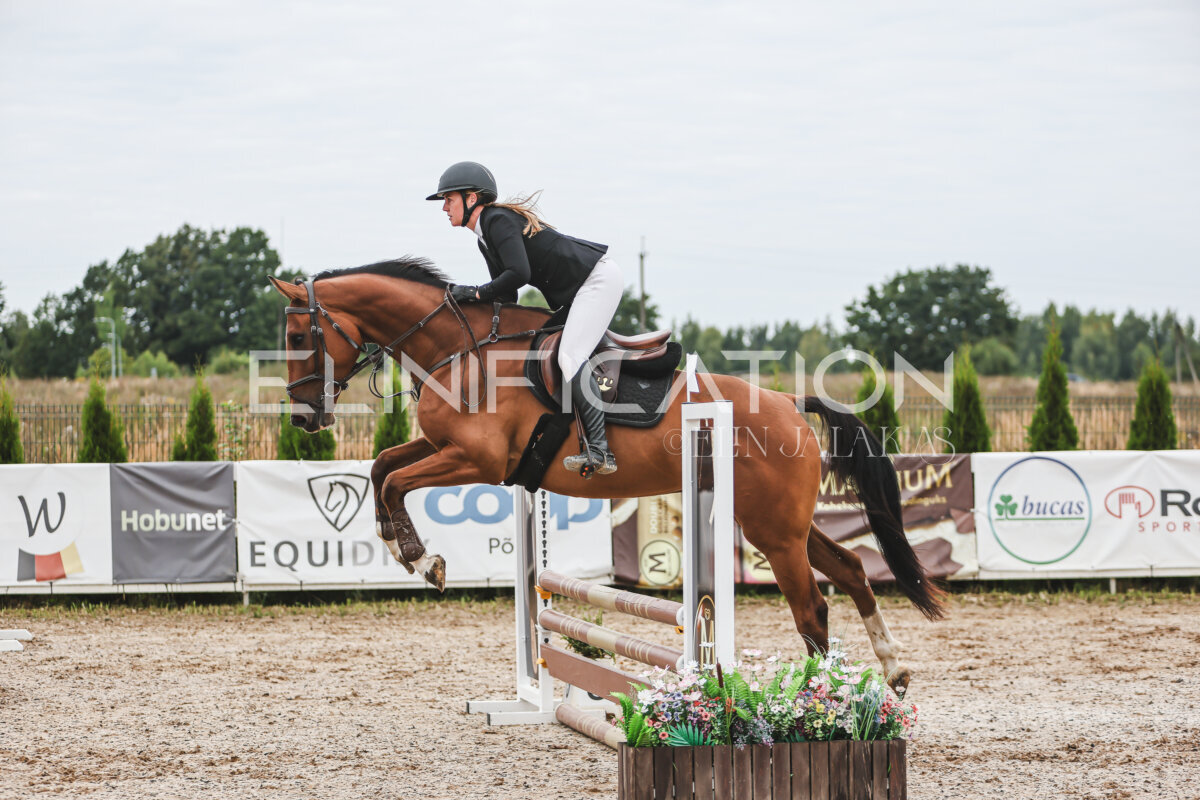 Sawerna_Trophy_2026_80_080