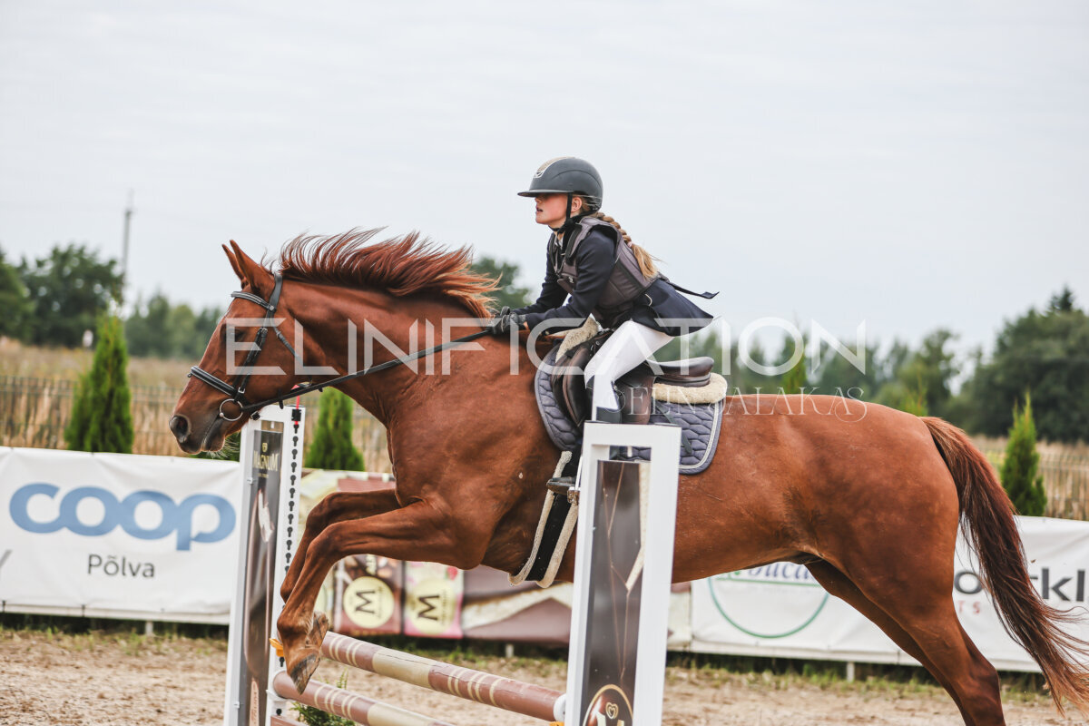 Sawerna_Trophy_2026_80_100