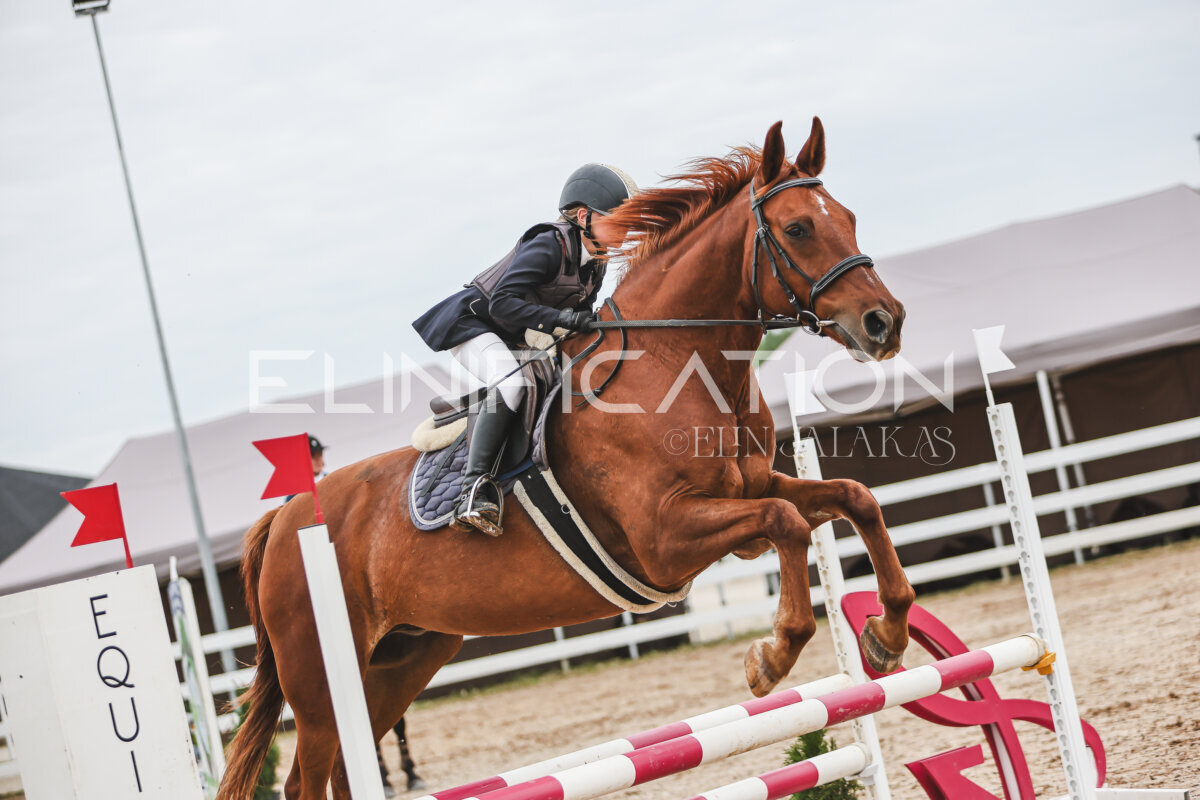 Sawerna_Trophy_2026_80_110