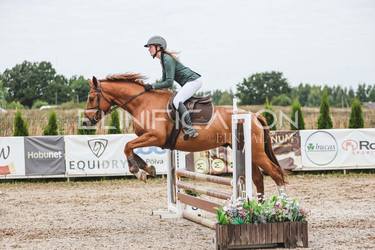 Sawerna_Trophy_2026_80_212