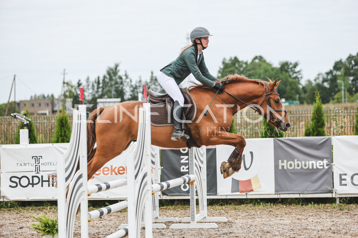 Sawerna_Trophy_2026_80_217