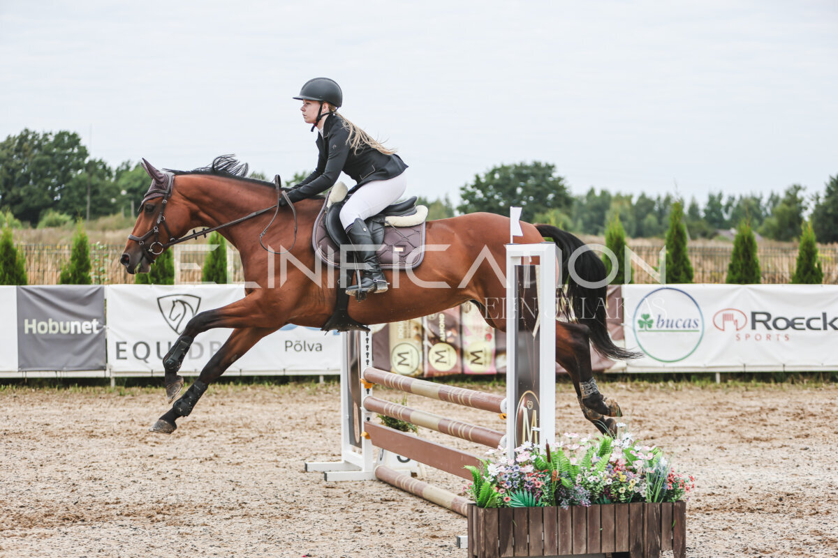 Sawerna_Trophy_2026_80_236