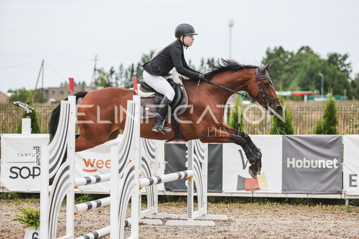 Sawerna_Trophy_2026_80_240