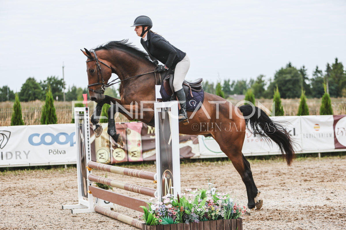 Sawerna_Trophy_2026_80_272