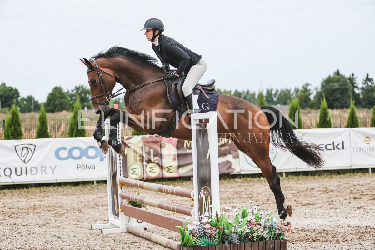 Sawerna_Trophy_2026_80_273