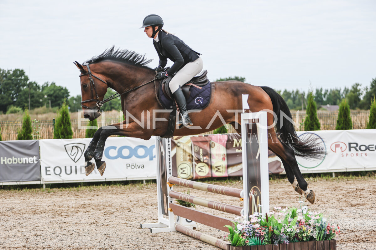 Sawerna_Trophy_2026_80_275