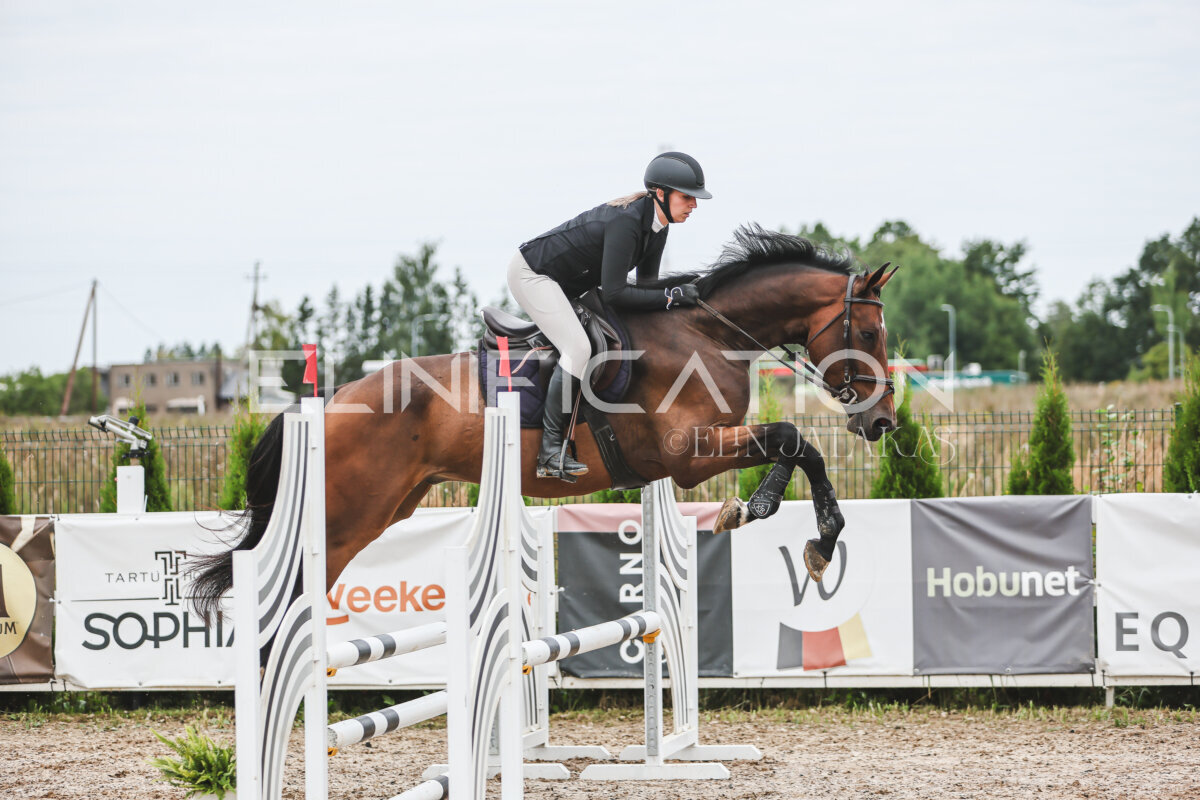 Sawerna_Trophy_2026_80_277