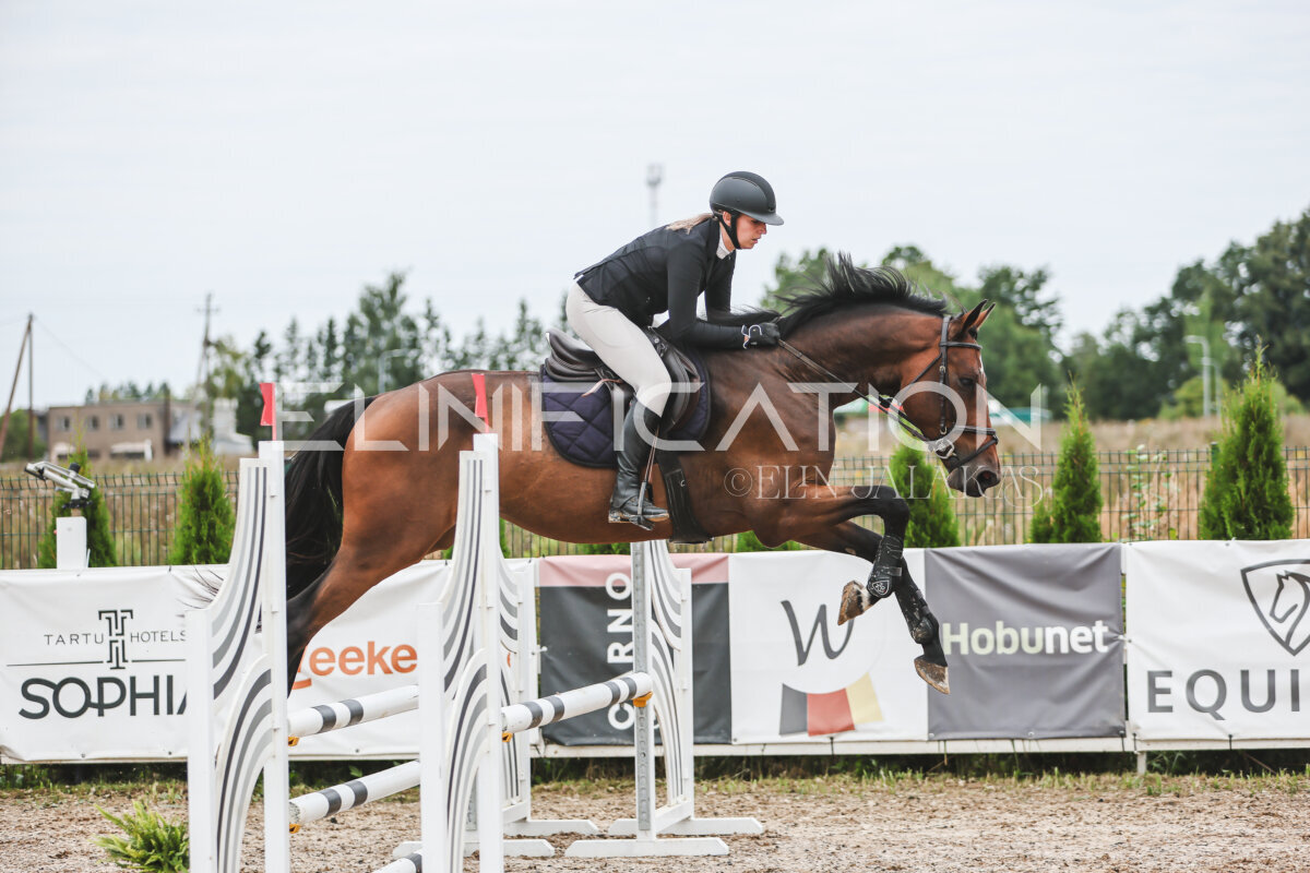 Sawerna_Trophy_2026_80_278