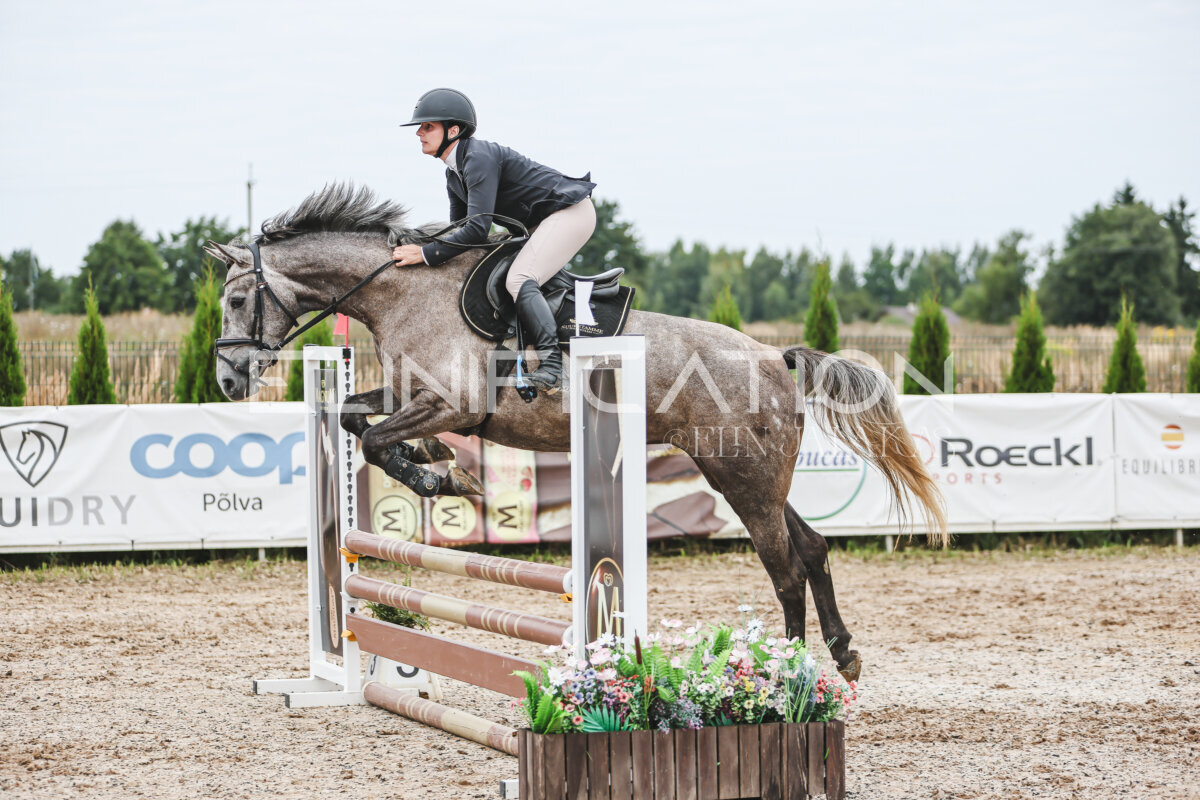 Sawerna_Trophy_2026_80_352