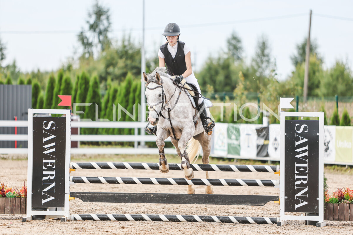 Sawerna_Trophy_2026_90_238