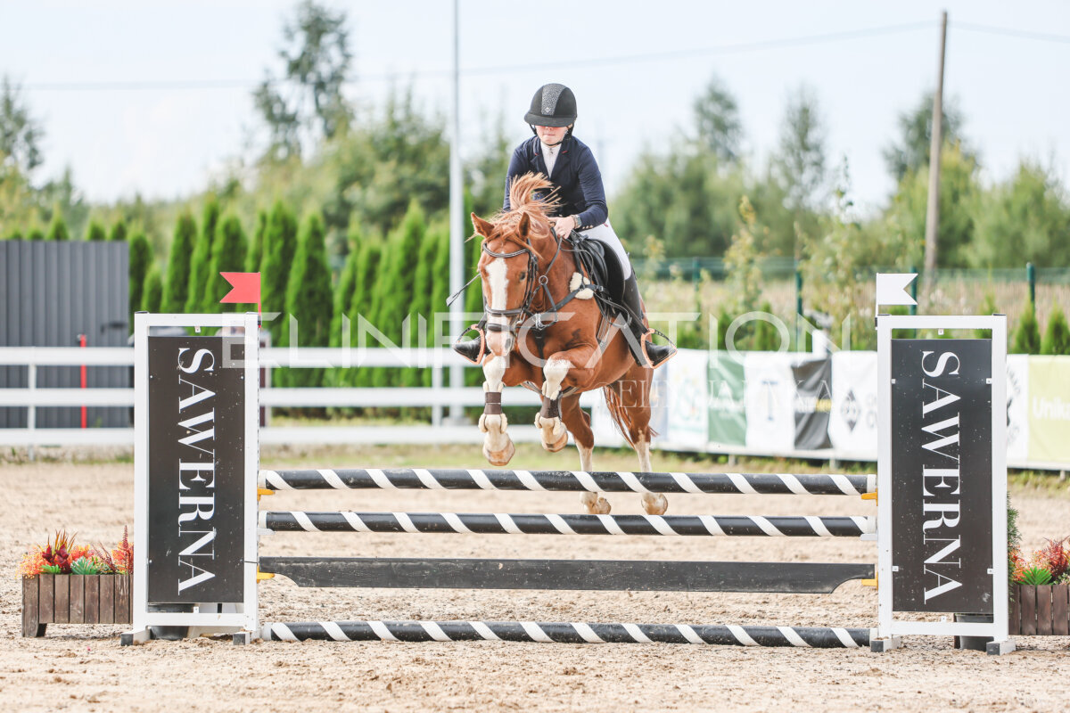 Sawerna_Trophy_2026_90_372