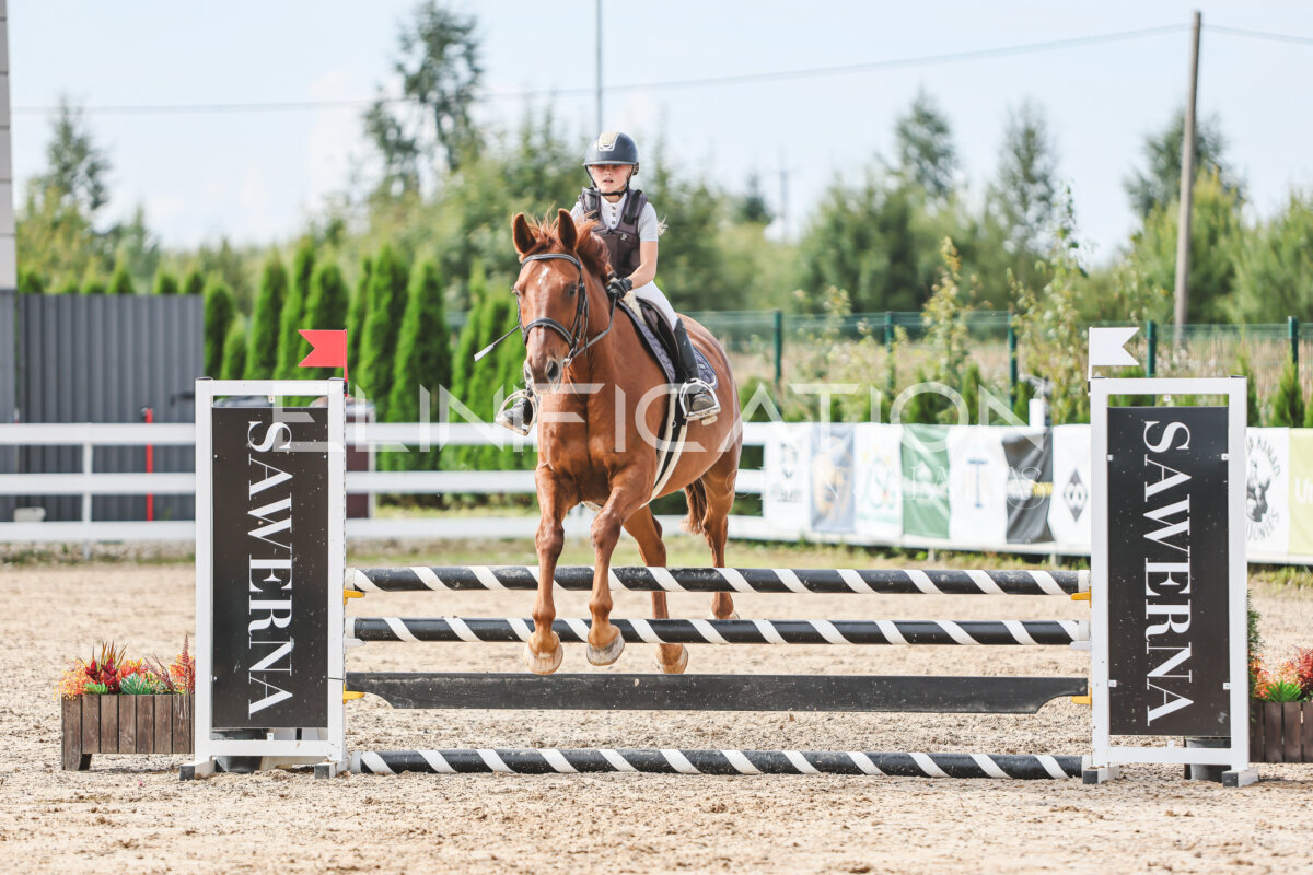 Sawerna_Trophy_2026_90_450