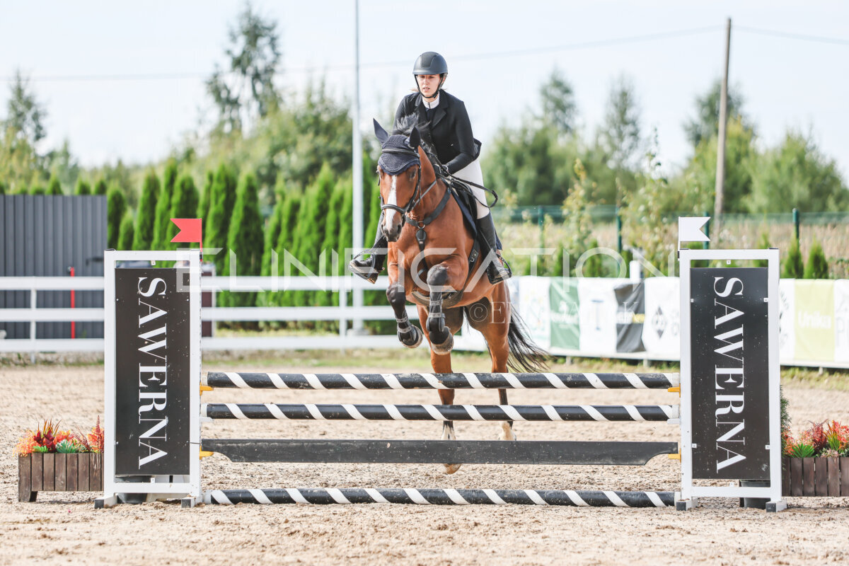 Sawerna_Trophy_2026_90_500