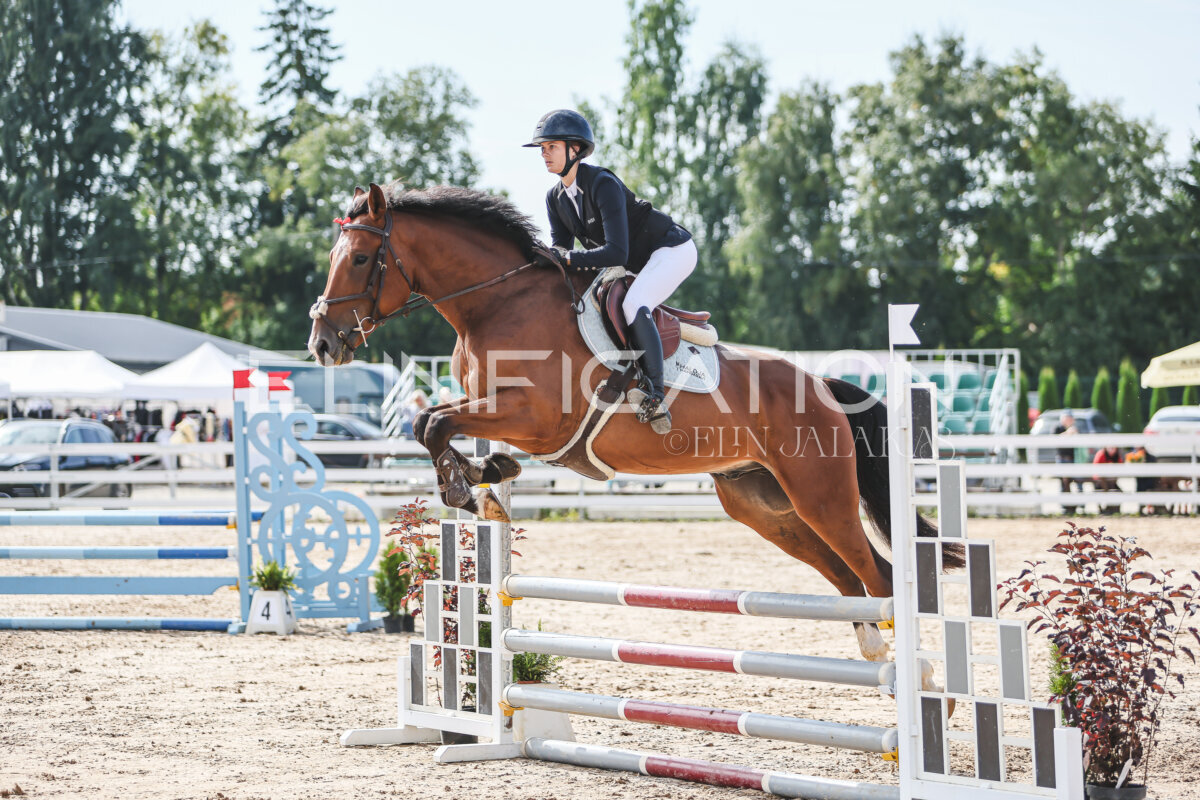 Sawerna_Trophy_2026_90_540