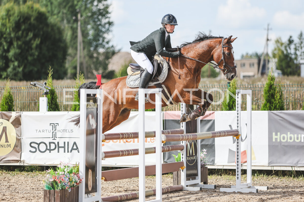 Sawerna_Trophy_2026_100_100