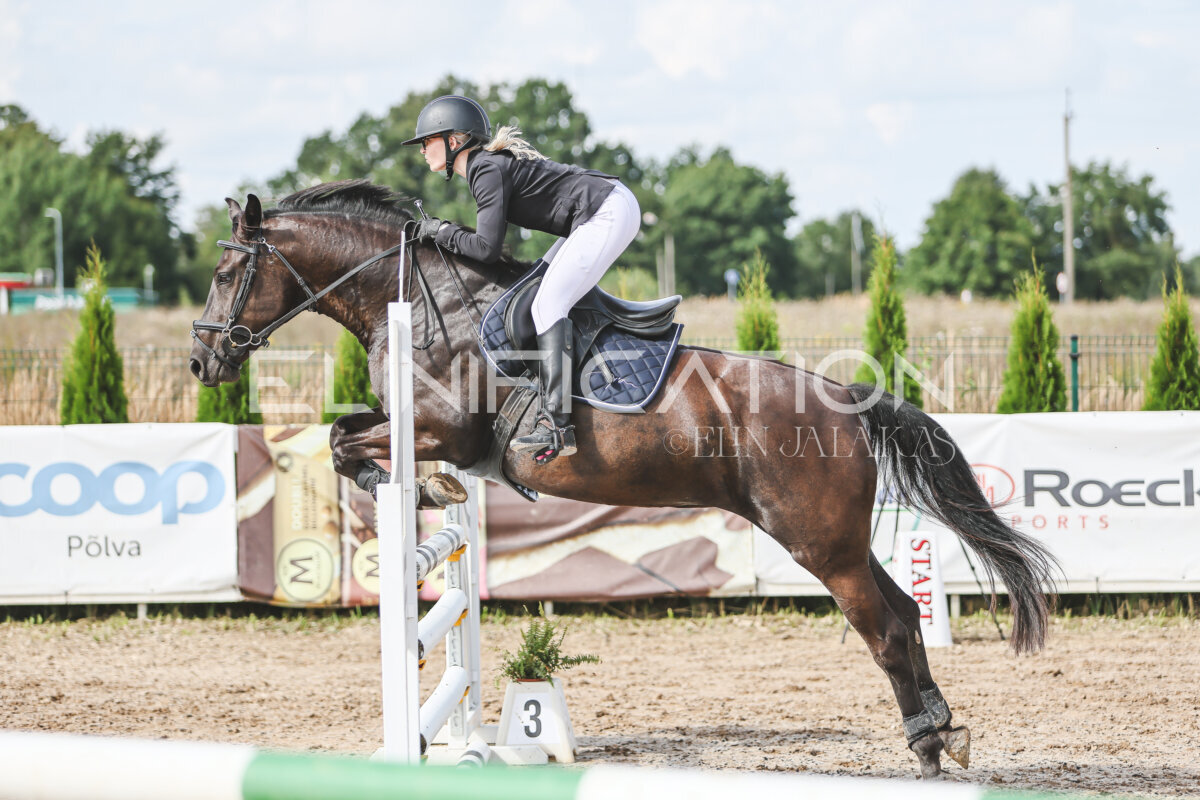 Sawerna_Trophy_2026_100_133