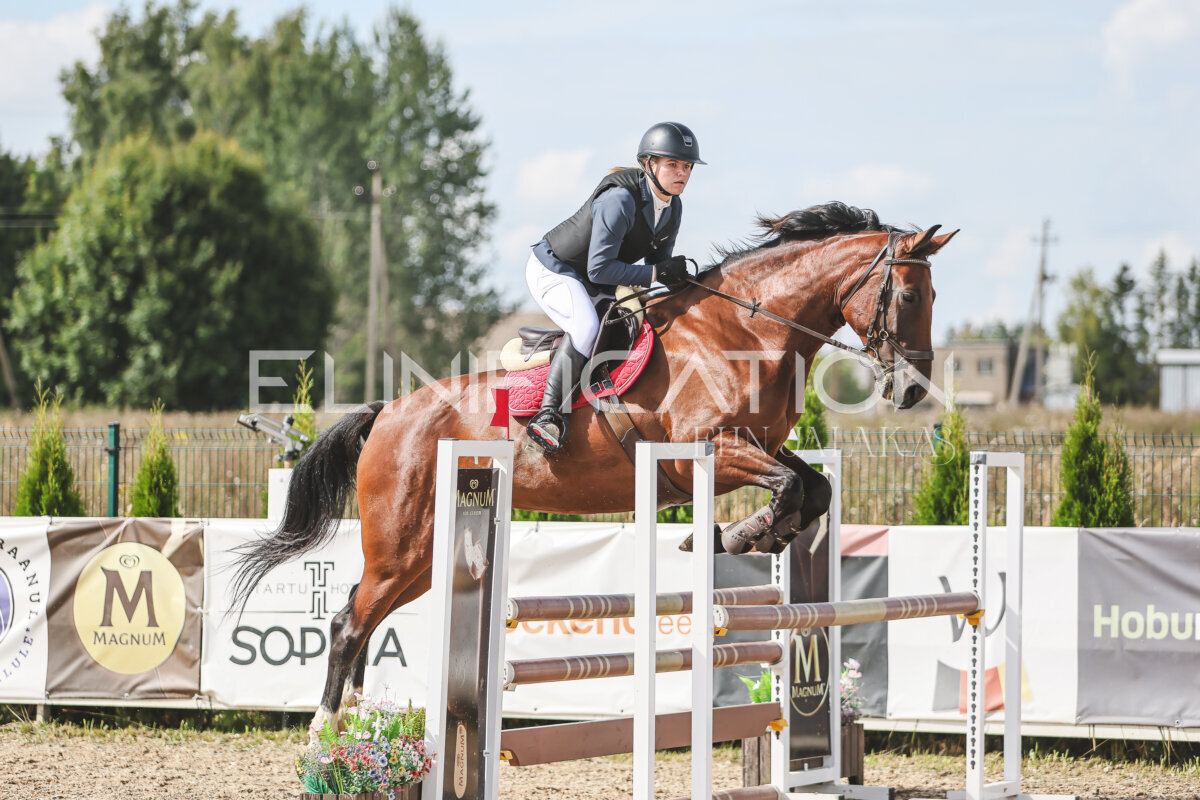 Sawerna_Trophy_2026_100_173