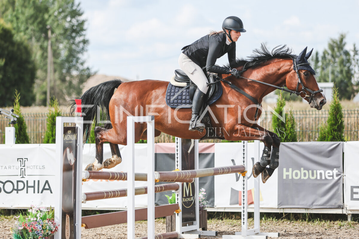 Sawerna_Trophy_2026_100_250