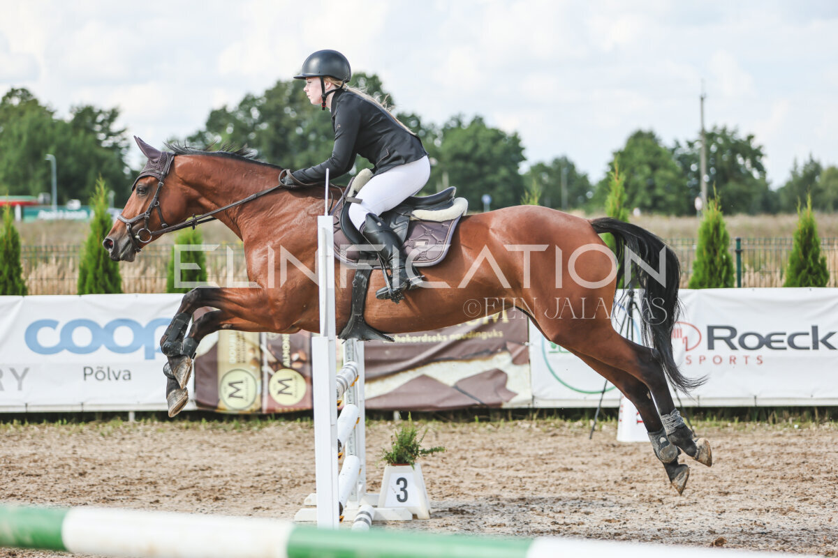 Sawerna_Trophy_2026_100_360
