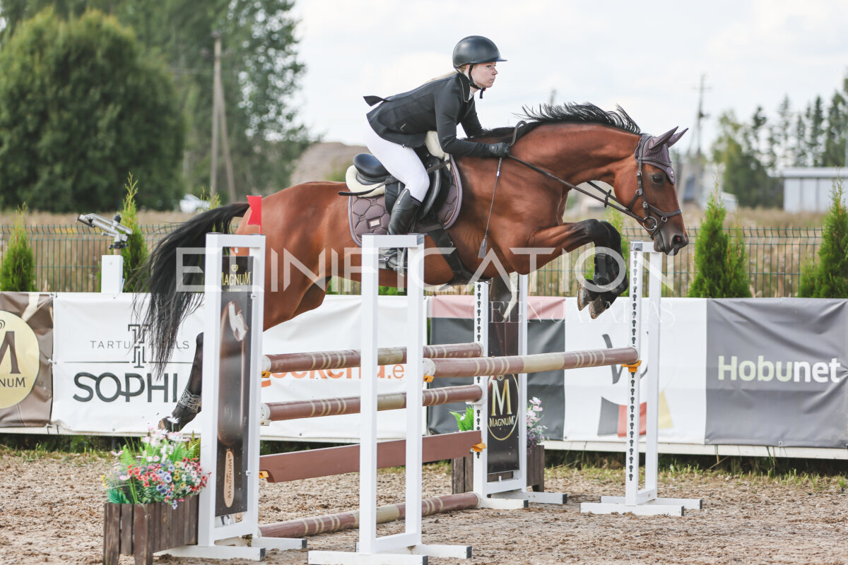 Sawerna_Trophy_2026_100_365