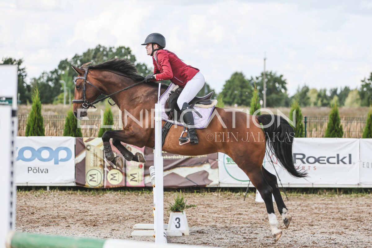 Sawerna_Trophy_2026_100_381