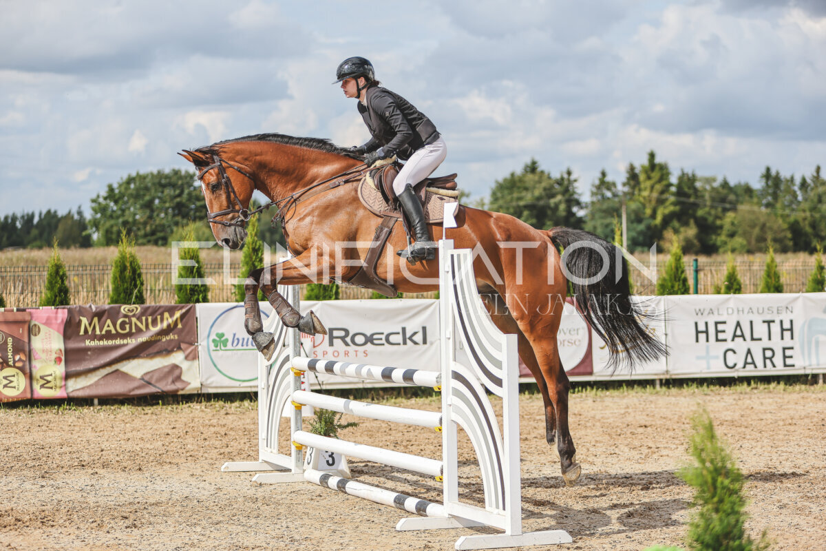 Sawerna_Trophy_2026_100_500