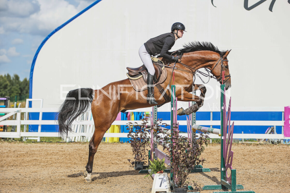 Sawerna_Trophy_2026_100_503