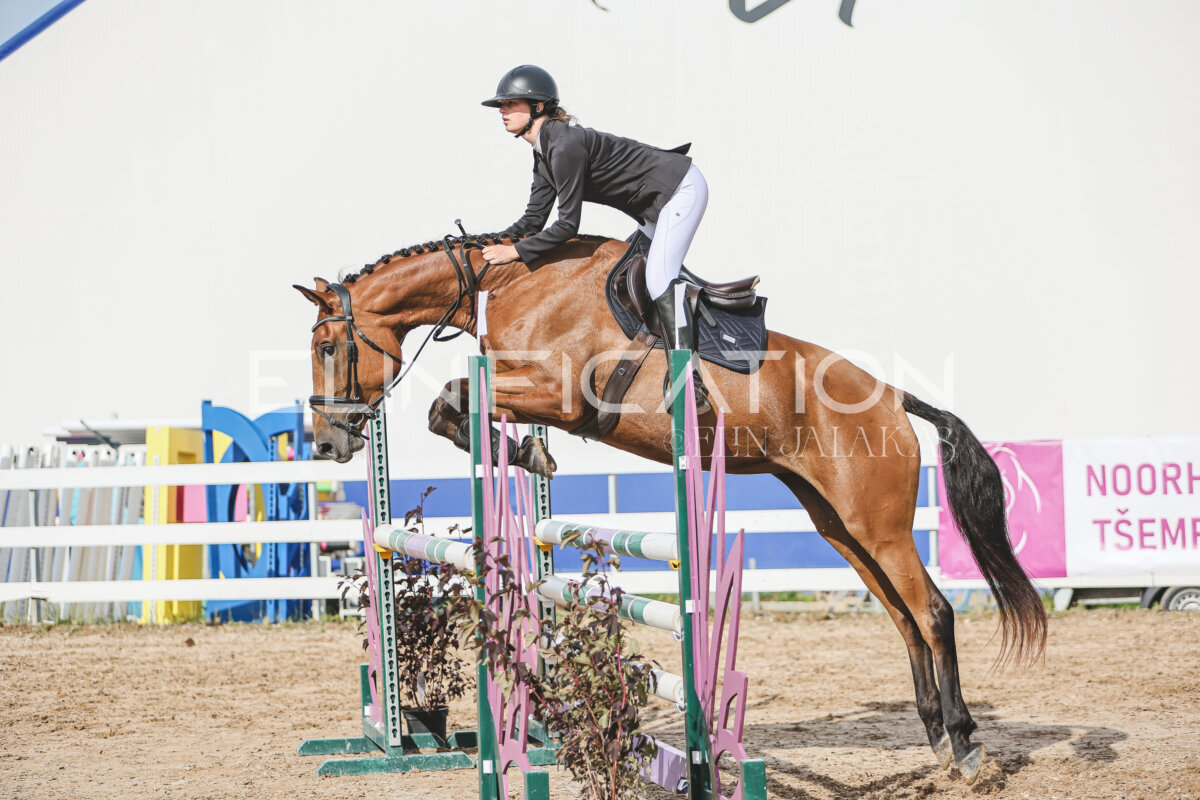 Sawerna_Trophy_2026_110_377