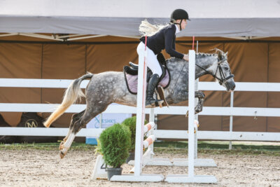 NHTS_2026_1_hc65-75cm_004