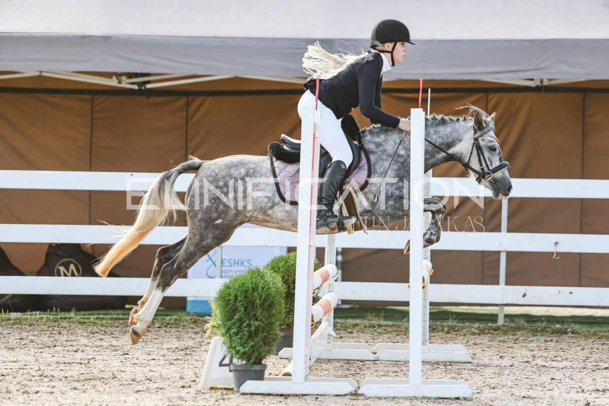 NHTS_2026_1_hc65-75cm_004