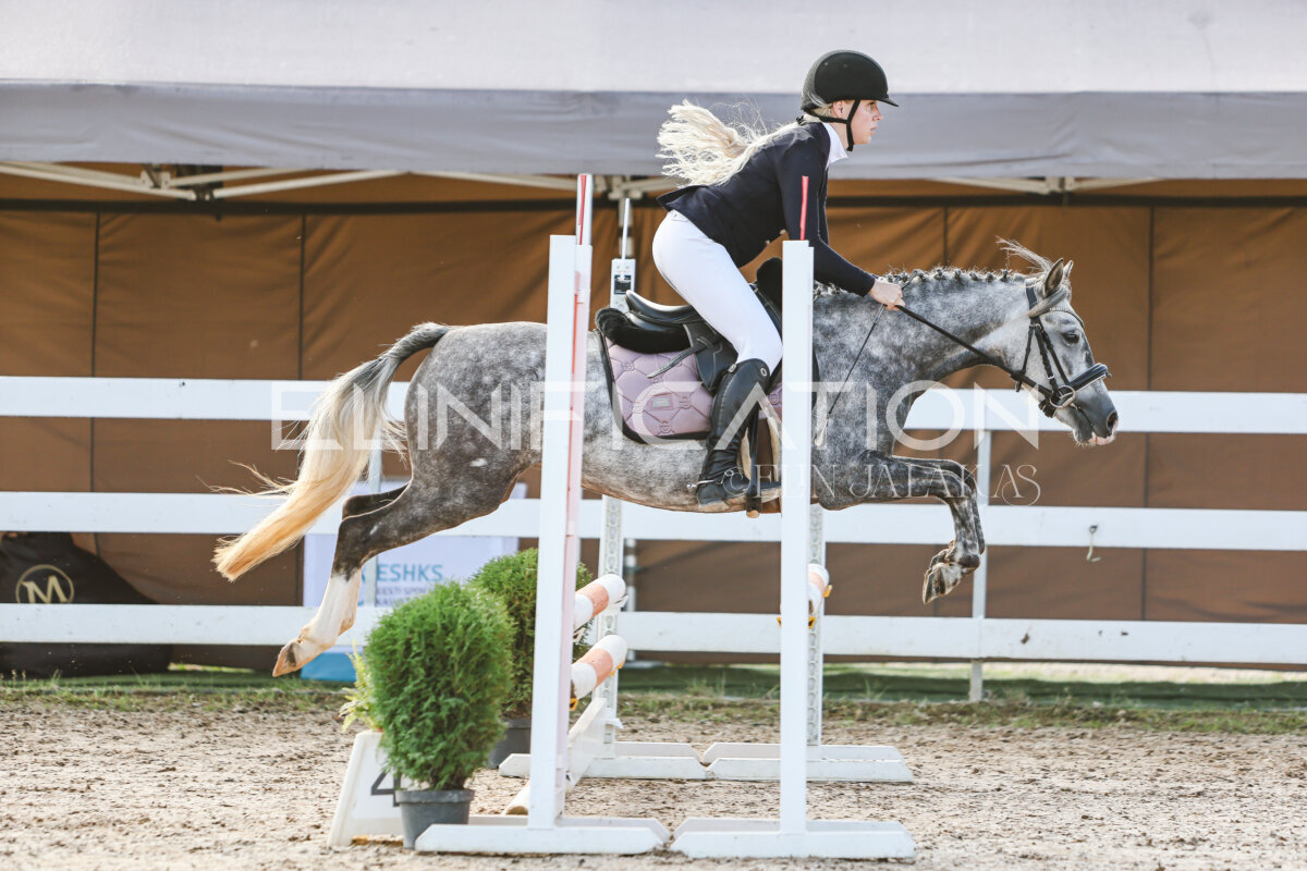 NHTS_2026_1_hc65-75cm_005