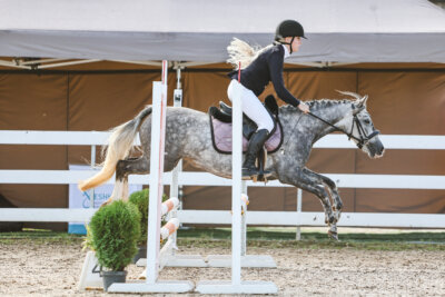 NHTS_2026_1_hc65-75cm_006