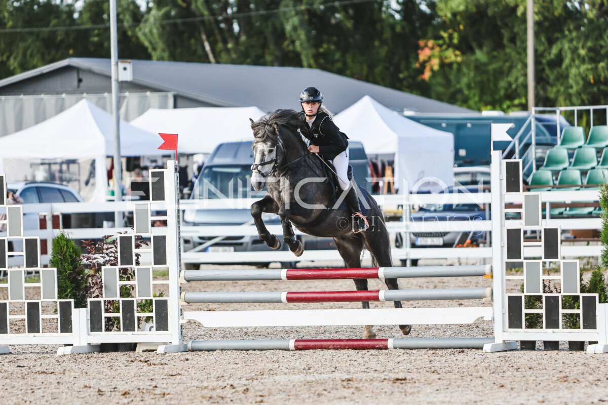 NHTS_2026_1_hc65-75cm_015
