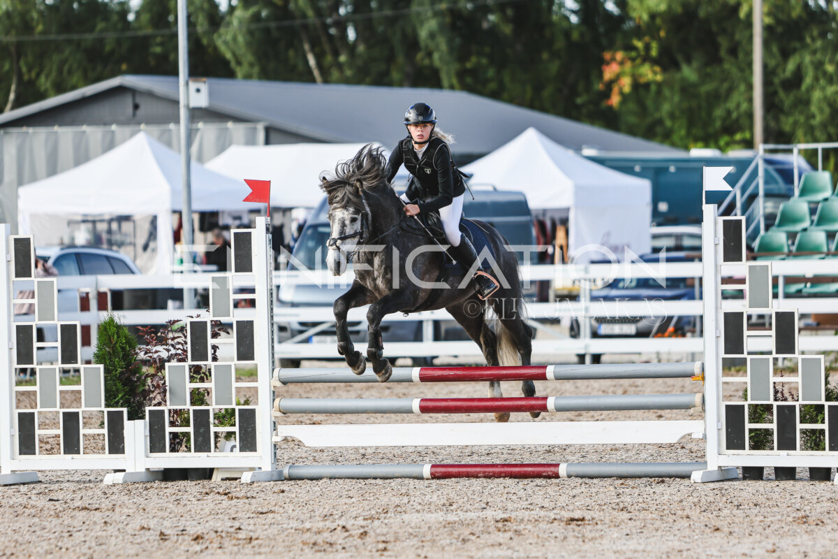 NHTS_2026_1_hc65-75cm_017