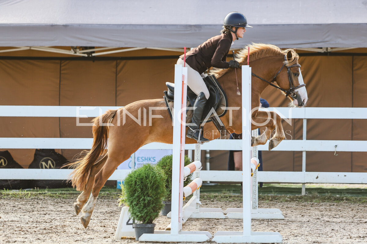 NHTS_2026_1_hc65-75cm_021
