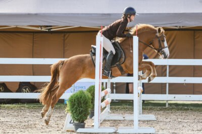NHTS_2026_1_hc65-75cm_021