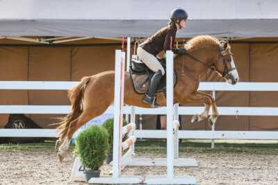 NHTS_2026_1_hc65-75cm_022