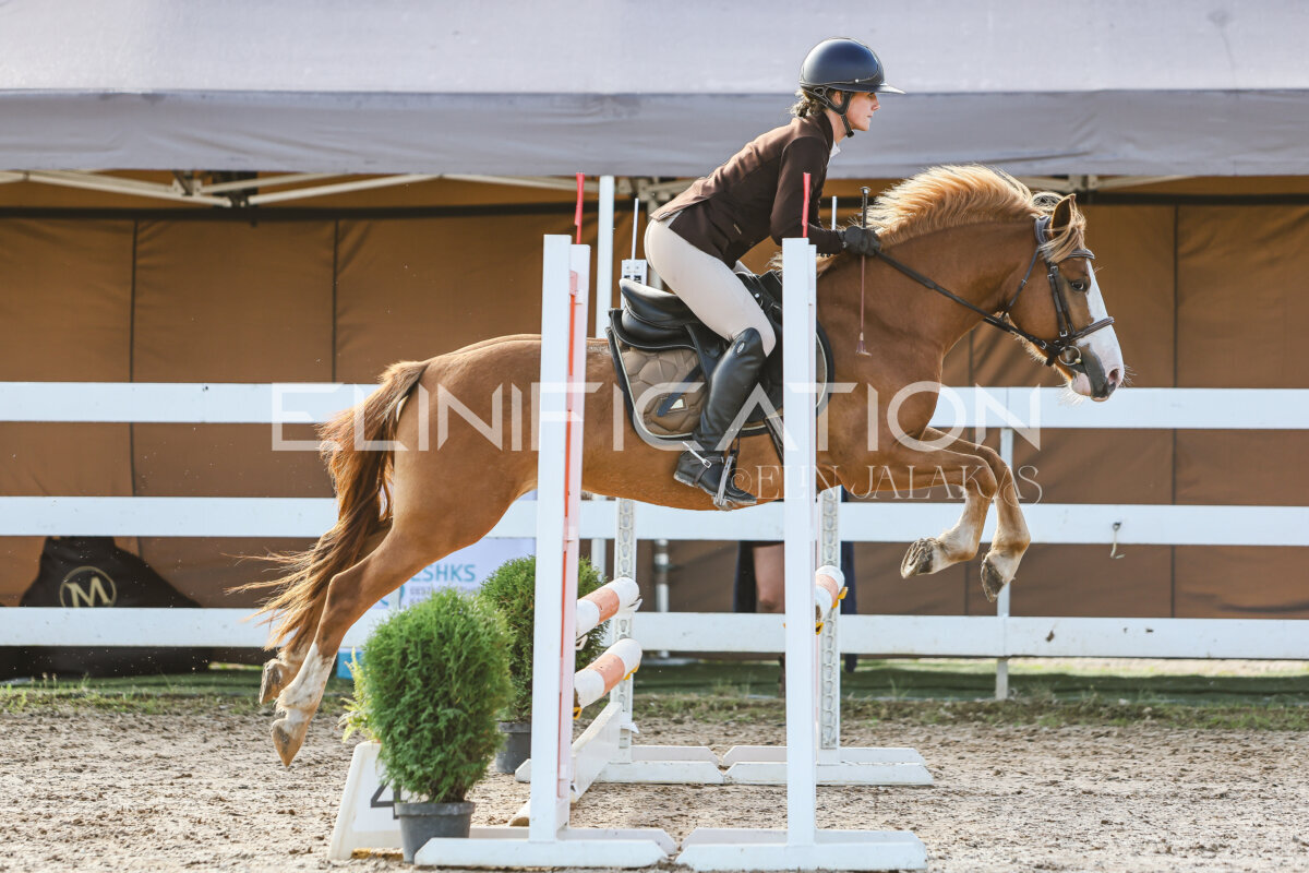 NHTS_2026_1_hc65-75cm_022