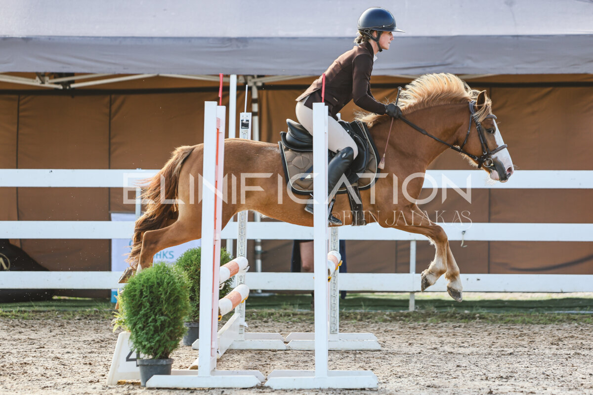 NHTS_2026_1_hc65-75cm_023