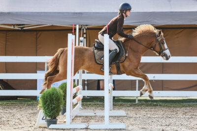 NHTS_2026_1_hc65-75cm_023