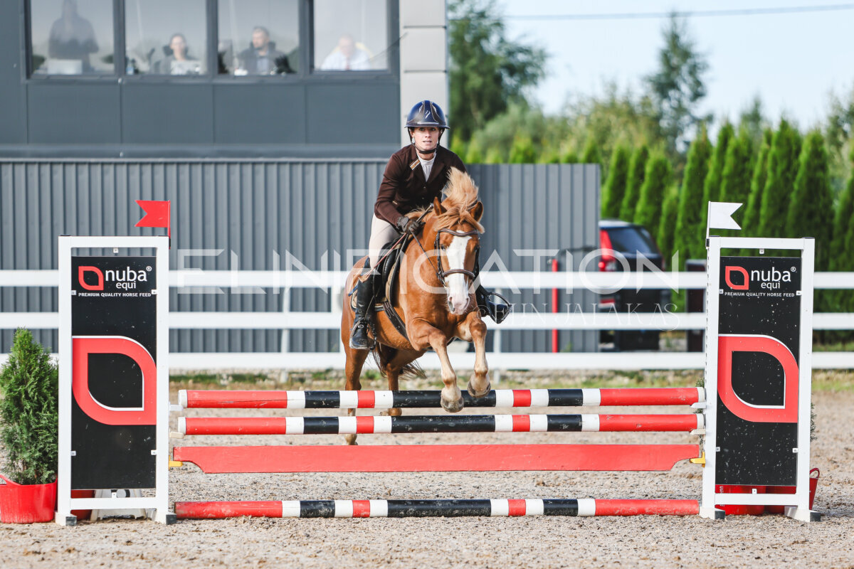 NHTS_2026_1_hc65-75cm_025