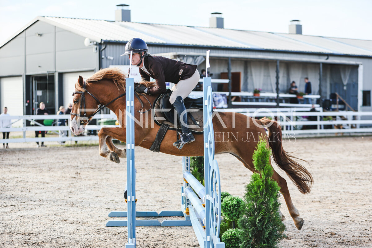 NHTS_2026_1_hc65-75cm_027
